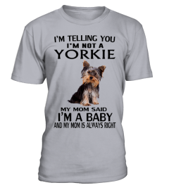 YORKIE BABY