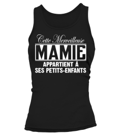 CETTE MERVEILLEUSE MAMIE APPARTIENT A SES PETIT-ENFANTS T-SHIRT