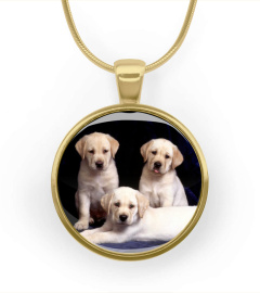 White Labrador Retriever Puppies