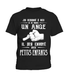 J'AI DEMANDE A DIEU DE ME DONNER UN ANGE IL M'A ENVOYE MA PETITS ENFANTS T-SHIRT