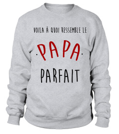 VOILA À QUOI RESSEMBLE LE PAPA PARFAIT