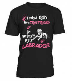 God Sent Me A  Labrador Dog