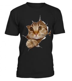 3D Cat - Just for Cat Lovers