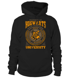 HOGWARTS UNIVERSITY