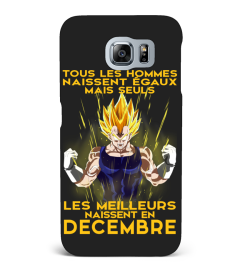 VEGETA - DECEMBRE