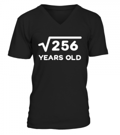 Square Root Of 256 Shirt For 16th Birthday Or 16 Year Old