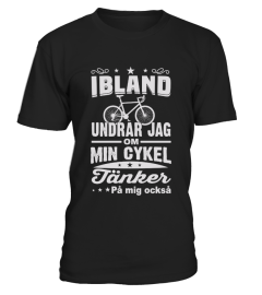 IBLAND UNDRAR JAG OM MIN CYKEL JANKER