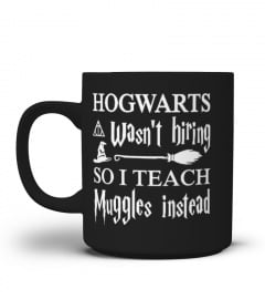 Hogwarts Wasn't Hiring So I Teach