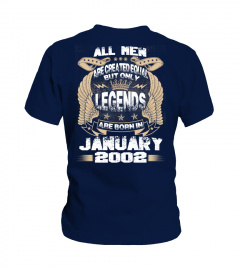 Legends Are Born in January 2002 Hoodie
