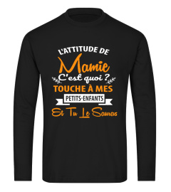 L'ATTITUDE DE MAMIE C'EST QUOI? TOUCHE A MES PETITS-ENFANTS ET TU LE SAURAS