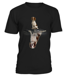 Welsh Springer Spaniel