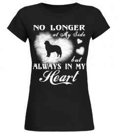 My Bernese Mountain Dog Always In My Heart Christmas Cute Gift T-shirt 