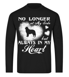 My Bernese Mountain Dog Always In My Heart Christmas Cute Gift T-shirt 