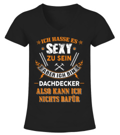 DACHDECKER