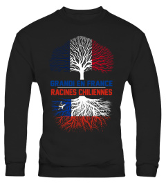 RACINES CHILIENNES