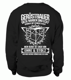 Gerüstbauer Ltd