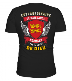 T-shirt Extraordinaire Normand