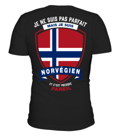 T-shirt - Parfait Norvégien