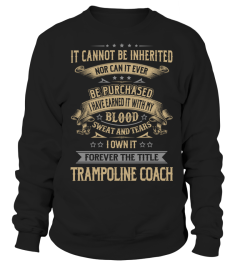 Trampoline Coach