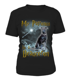 Beauceron