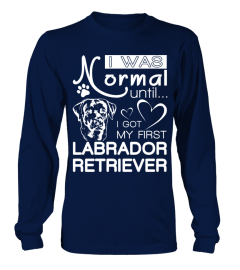 Normal-until-Labrador-Retriever