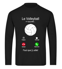 Le volleyball m'appelle faut que j'y aille 