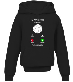 Le volleyball m'appelle faut que j'y aille 