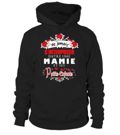 NE JAMAIS S'INTERPOSER ENTRE UNE MAMIE ET SES PETITS ENFANTS  T-SHIRT