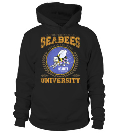 Property of Seabees