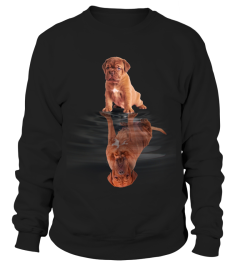 Dogue De Bordeaux