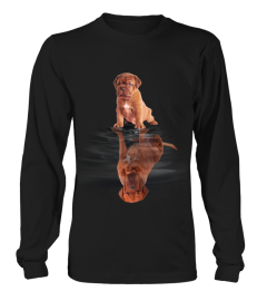 Dogue De Bordeaux