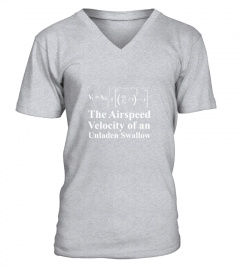 The Airspeed Velocity Of An Unladen Swallow T-Shirt