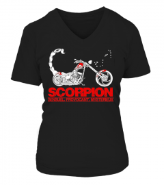 Astro Motard: Scorpion