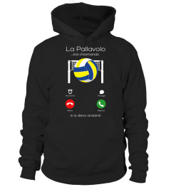 La Pallavolo.. mi sta chiamando!