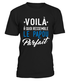 VOILA A QUOI RESSEMBLE LE PAPOU(2)...