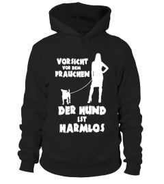 *LIMITIERT*  Der Hund ist Harmlos