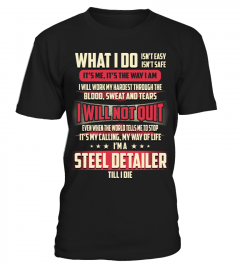 Steel Detailer - What I Do
