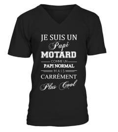 JE SUIS UN PAPI MOTARD...