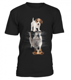 Jack Russell Terrier Dreaming