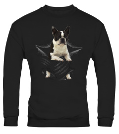 Boston Terrier Scratch New