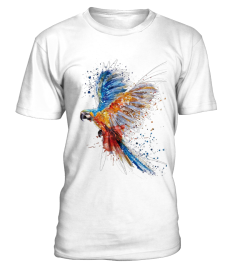 Colorful Parrot