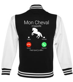 MON CHEVAL M'APPELLE