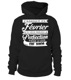 FABRIQUE EN FEVRIER SITU VEUX FROLER LA PERFECTION PASSE A COTE DE MOI T-shirt