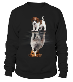 Jack Russell Terrier