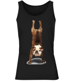 English Bulldog yoga