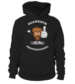 GLANDEUR PROFESSIONNEL