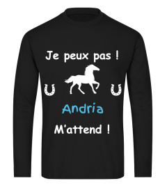 je peux pas !  mon cheval m'attend !