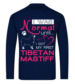 Normal-until-Tibetan-Mastiff-P