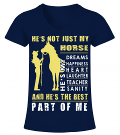 Horse-Riding-