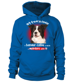 MIO BORDER COLLIE